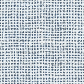 Medium // Indigo white and blue crosshatch woven texture