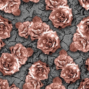 Pink roses on grey earth
