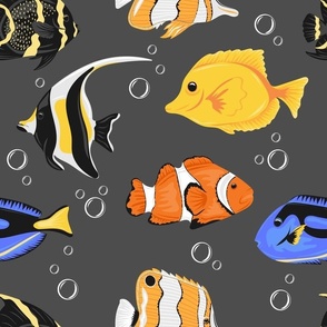 colorful ocean fishes on grey