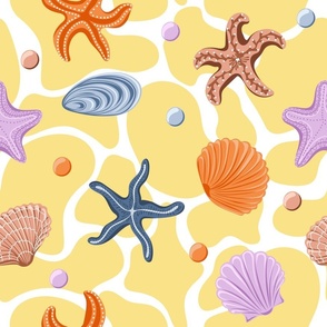 Colorful different sea shells and starfish