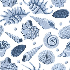 Blue sea shells