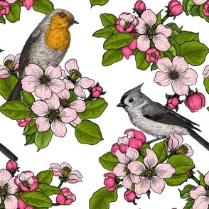 Birds and Blossoms on white