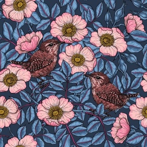 Wrens in the dog rose on navy