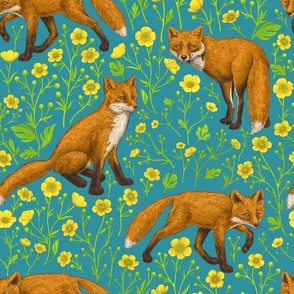 Foxes and buttercups on lagoon blue