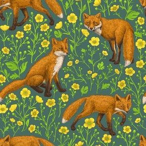 Foxes and buttercups on pine green