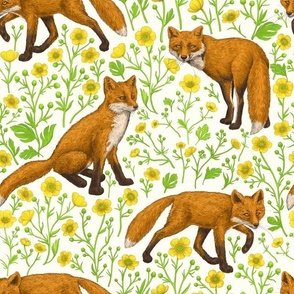 Foxes and buttercups on natural white