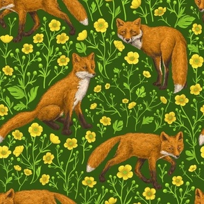 Foxes and buttercups on dark green