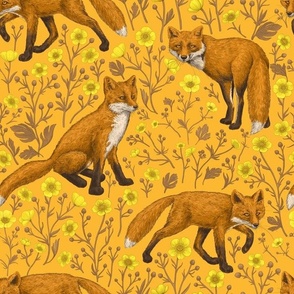 Foxes and buttercups on orange