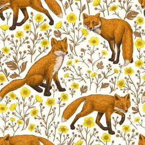 Foxes and buttercups on natural white