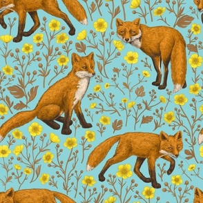 Foxes and buttercups on pool blue