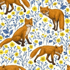 Foxes and buttercups on natural white