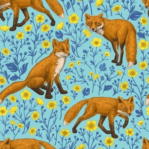 Foxes and buttercups on pool blue