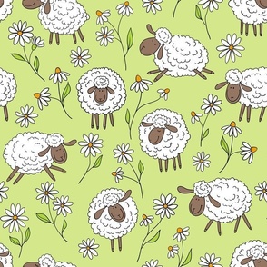 Counting sheep on honney dew green