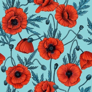 Poppies, red and blue on pool blue