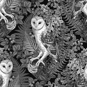 Owls, ferns, oak and berries, monochrome, black