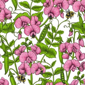 Sweet peas and bumblebees in pink and green on white