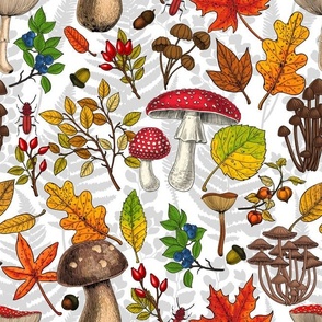 Autumn mushrooms, leaves, nuts and berries on white