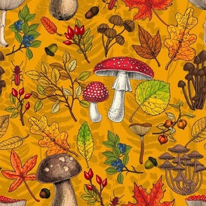 Autumn mushrooms, leaves, nuts and berries on orange