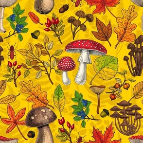 Autumn mushrooms, leaves, nuts and berries on yellow