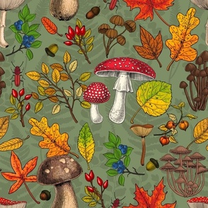 Autumn mushrooms, leaves, nuts and berries on green