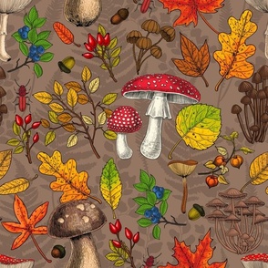 Autumn mushrooms, leaves, nuts and berrieson mocha brown