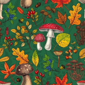 Autumn mushrooms, leaves, nuts and berries on emerald green