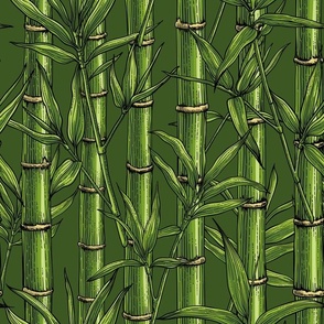 Bamboo forest in green