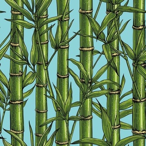 Bamboo forest on light blue