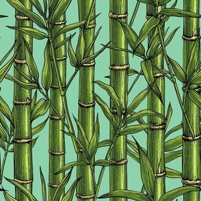 Bamboo forest on jade green