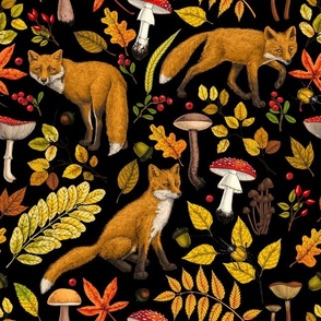 Autumn foxes on black