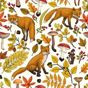 Autumn foxes on natural white