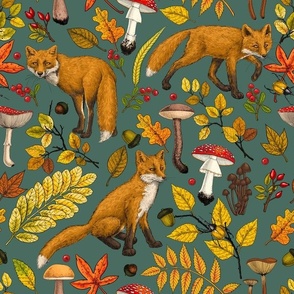 Autumn foxes on pine green