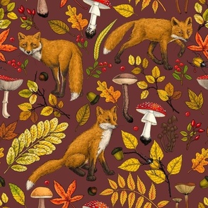 Autumn foxes on chocolate brown