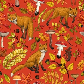 Autumn foxes on red