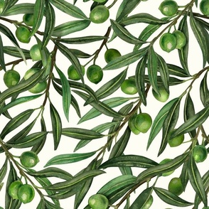 Olive branches on off white