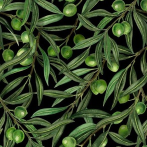 Olive branches on black
