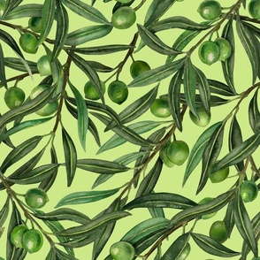 Olive branches on honeydew green