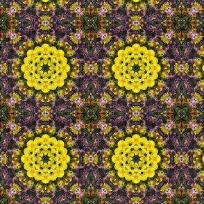 kaleidoscopic violets