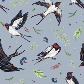 swallows ( gray-blue)