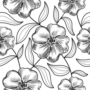 Monochrome hand drawn flowers and leaves