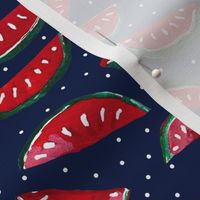 Summer Watermelons // Red White and Blue