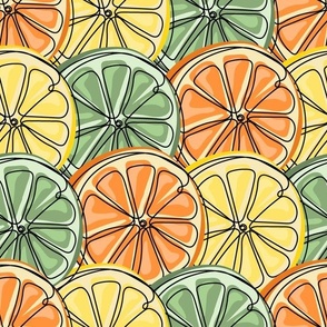 Citrus slices of orange  lemon and lime