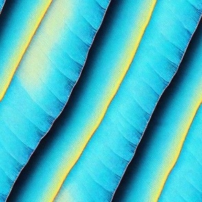 Butterfly wing texture