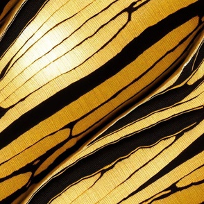 Butterfly wing texture