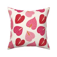 Large Delightful Anthurium - Ecru Pink