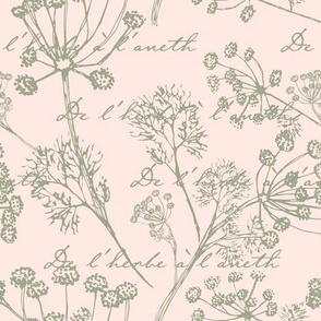 French Dill on pink 