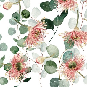 eucalyptus flowers