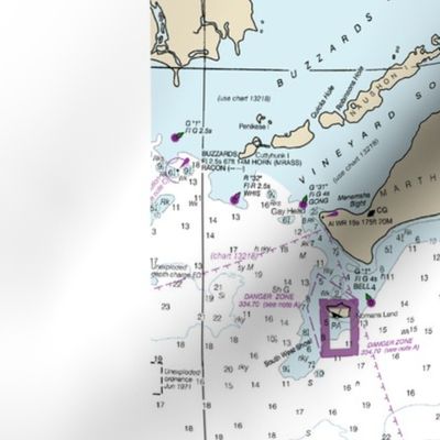 Cape Cod nautical map