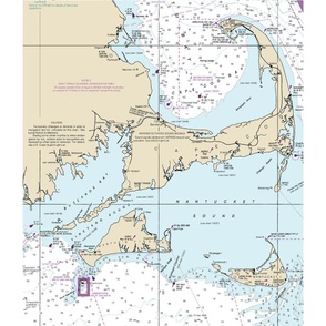 Cape Cod nautical map