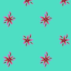 Small Daisies - Mint / Red